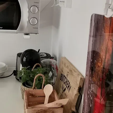 Noe And Joey 아파트