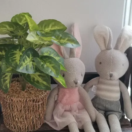 아파트 Noe And Joey 스플리트